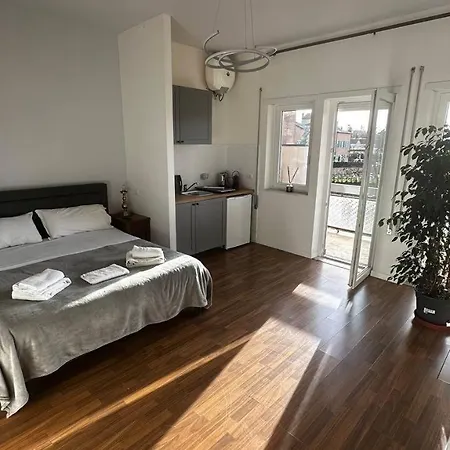 Apartament The Swan Center *